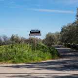 Per approfondire questa intrigante storia non resta quindi che condurci proprio ad Auricarro, l� dove tutto � avvenuto. La contrada, immersa nel verde, � situata a 2 chilometri a sud-ovest del centro di Palo